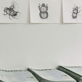 Ausstellungsansicht colophon Kunstraum München